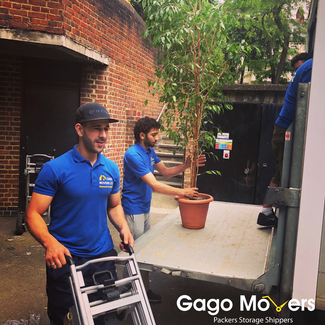 Gago Movers Ltd Gago Movers Ltd